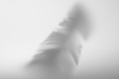 5_MG_9481