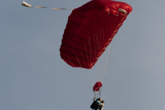 MG_6341