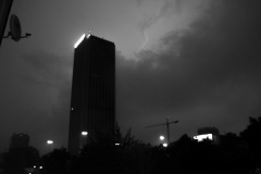 MG_8401